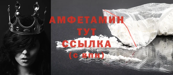 стаф Каменск-Шахтинский