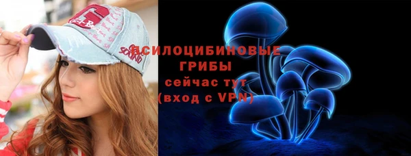 стаф Каменск-Шахтинский