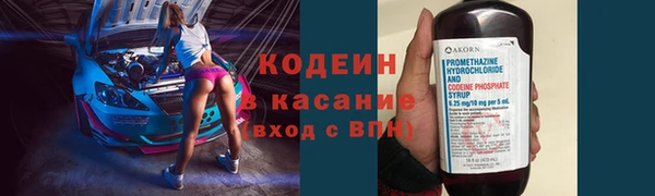 стаф Каменск-Шахтинский