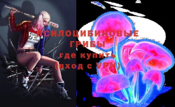 стаф Каменск-Шахтинский