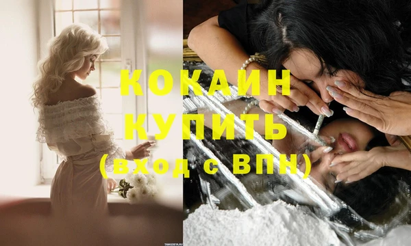 стаф Каменск-Шахтинский