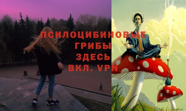 марихуана Каменногорск