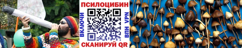 Галлюциногенные грибы Psilocybine cubensis  Купить  Пыть-Ях 